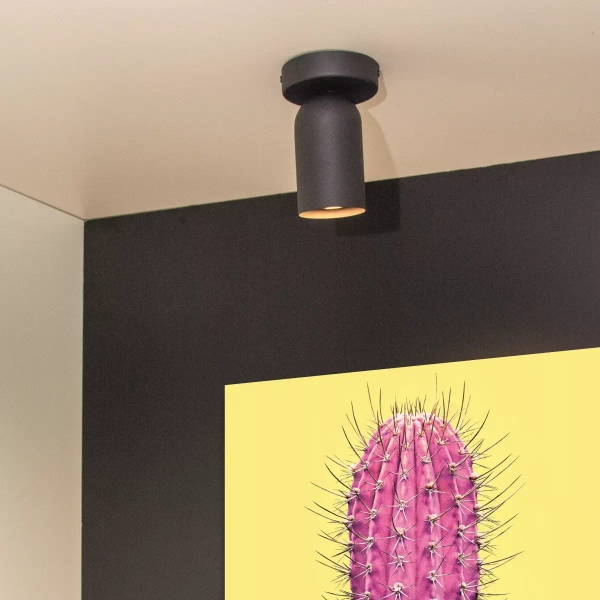 Przysufitowa lampa z regulacją PUNCH 13958/01/30 Lucide czarny