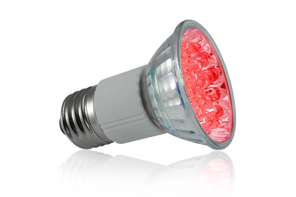 Żarówka LED Dip 203229 Polux 0,9W E14 szklana czerwona