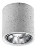 Downlight LAMPA sufitowa SL.0645 betonowa OPRAWA spot tuba szara