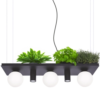 Lampa wisząca Plant Shelf 5555 Zumaline półka na rośliny kule czarne białe