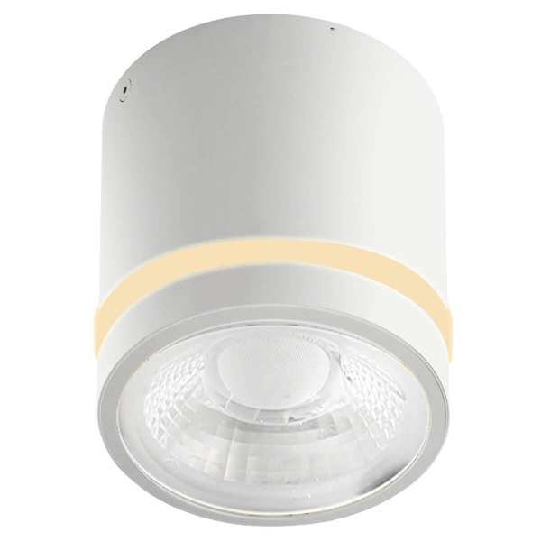 Łazienkowa lampa sufitowa VICI AZ6040 LED 12W 3000-6000K IP44 tuba biały