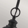 Zewnętrzna LAMPA wisząca English FE-EB8-L-BLK Elstead FEISS ogrodowa OPRAWA zwis retro na łańcuchu outdoor IP23 czarny przezroczysty