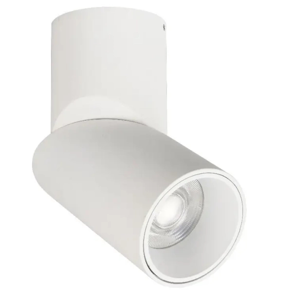 Regulowana lampa sufitowa Focus LED RNBS15WW 15W 3000K spot biały