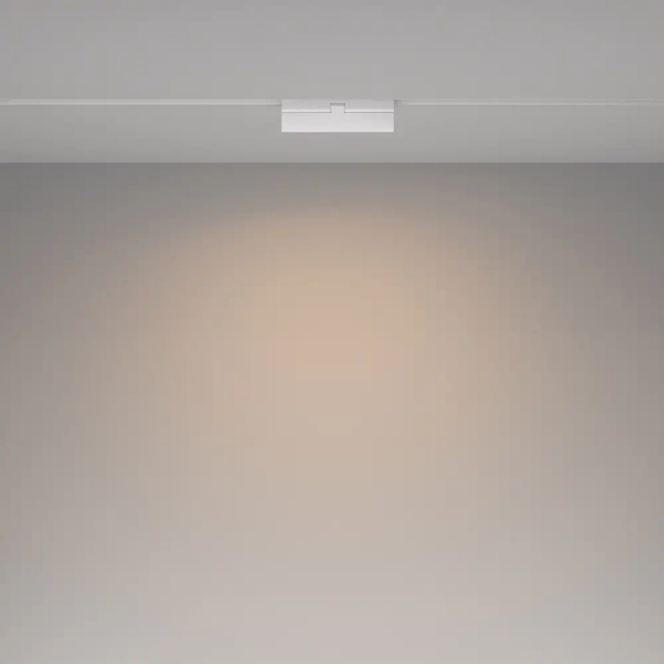 Sufitowa lampa magnetyczna Exility TR036-4-12WTW-DD2-W LED 2700-6000K biała