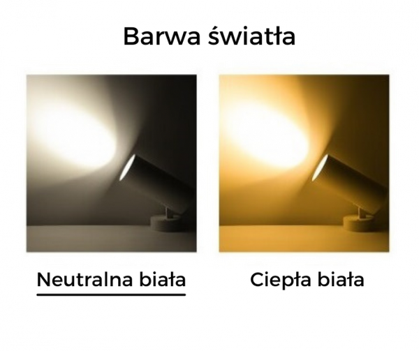 Punktowy reflektor Blaupunkt DRNW-12NW LED 12W 4000K biały
