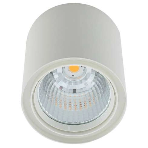 Spot LAMPA sufitowa LUNA WG-706R/WU-WW/70 Italux metalowa OPRAWA tuba LED 40W 3000K downlight biały