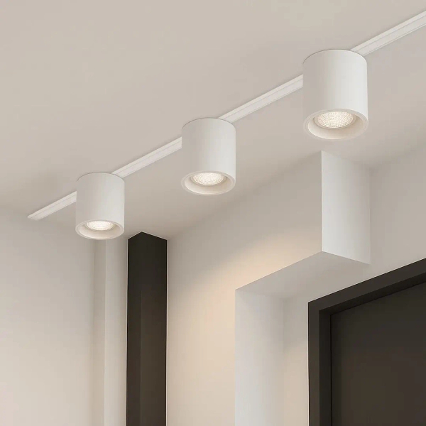 Regulowana lampa szynowa magnetyczna Tuya CCT ML2202 LED 6W CCT biały
