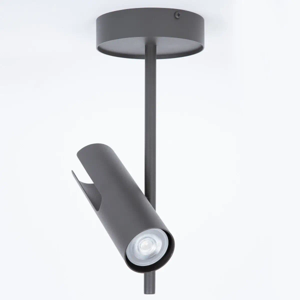 Salonowa lampa sufitowa Leda 1 41145 regulowana ciemnoszara