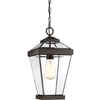 Zewnętrzna lampa wisząca Ravine QZ-RAVINE8-M na łańcuchu IP44 brązowa