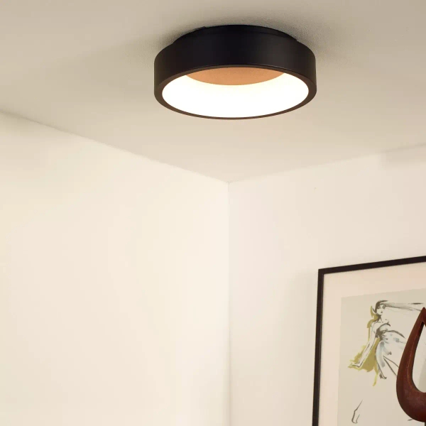 Sufitowa lampa do salonu Talowe 46100/20/30 LED 20W 3000K okrągły czarny