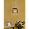 Lampa wisząca Naeva NAE0122 Dar Lighting na łańcuchu przezroczysta czarna