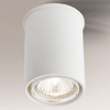 Spot LAMPA sufitowa OSAKA 7022 natynkowa tuba DOWNLIGHT biały OUTLET