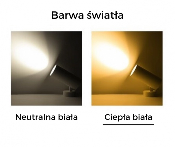 Ledowy reflektor Blaupunkt DRN-12WW LED 12W 3000K czarny