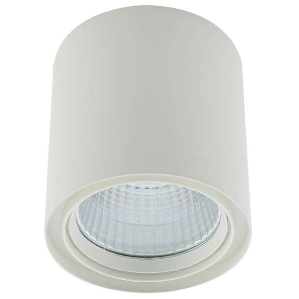 Spot LAMPA sufitowa LUNA WG-706R/WU-WW/70 Italux metalowa OPRAWA tuba LED 40W 3000K downlight biały