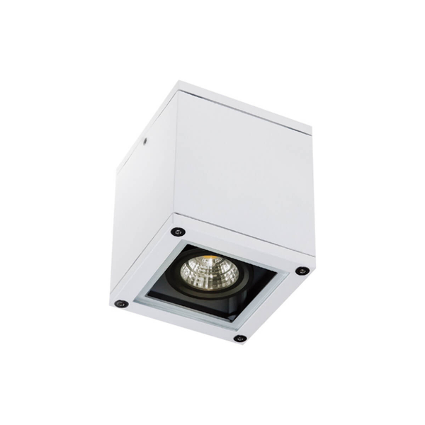 Zewnętrzna lampa sufitowa E270 kostka IP65 kwadratowa biała