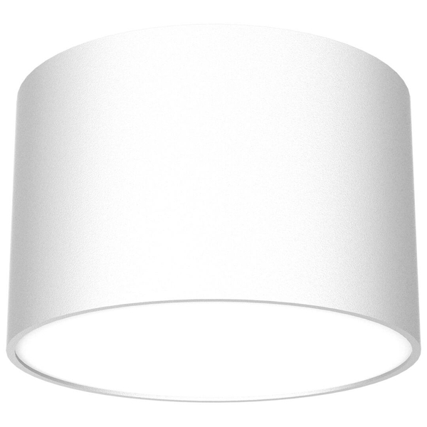Pokojowa lampa sufitowa Dixie do przedpokoju loft biała