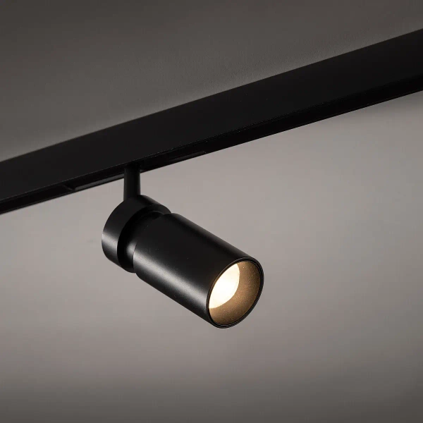 Sufitowa lampa 1-obwodowa 11713 LED 2W 3000K czarny