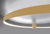 Ring lampa sufitowo-ścienna Rio TH.225 Thoro LED 50W 4000K do jadalni złoty