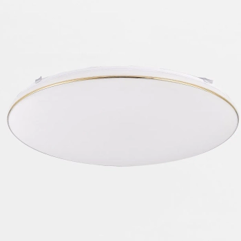 Minimalistyczna natynkowa lampa Omar JE-DHR-0530-GD LED 48W 4000K biały