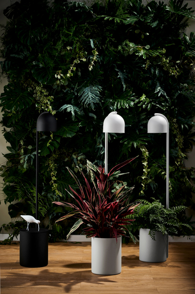 Dekoracyjna LAMPA stojąca BOTANICA 40850108 Kaspa podłogowa OPRAWA metalowa tuba z doniczką szara
