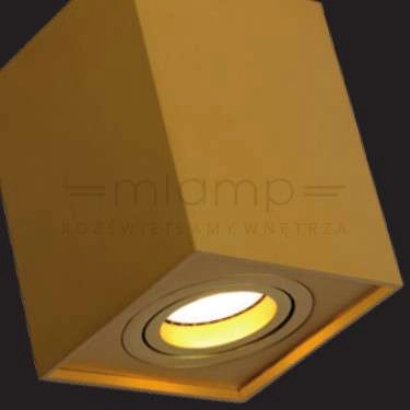 Regulowana LAMPA sufitowa TUBE 22953/01/02 Lucide metalowa OPRAWA kostka downlight mosiądz