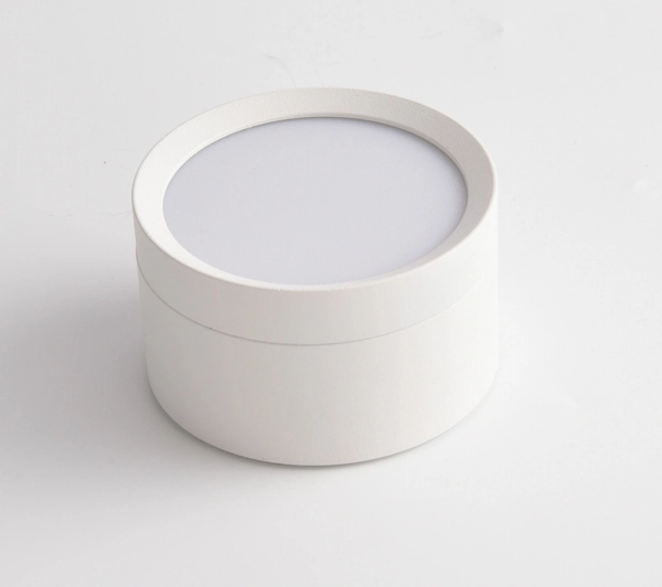 Plafon natynkowy Hoop C086CL-GX53-SRD-W LED 12W do salonu biały