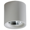 Ściemnialna lampa sufitowa Mane AZ4330 LED 30W 3000K metalowa biała