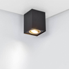 Metalowa lampa sufitowa BISCUIT 613000180 Trio kuchenna czarny złoty