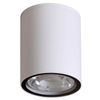 Przysufitowa lampa tuba Fano OPN-2006-4K Italux LED 6W 4000K IP54 biały