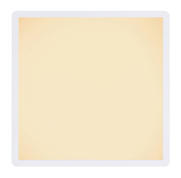 Sufitowa lampa Sapana 41563-24W łazienkowa LED 24W 3000K biała