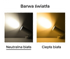 Punktowy reflektor Blaupunkt DRNW-12NW LED 12W 4000K biały