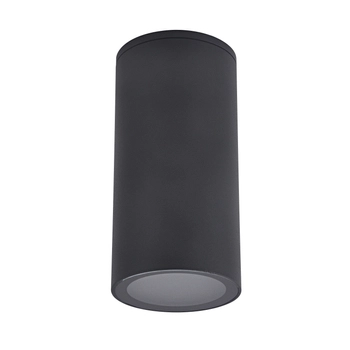 Sufitowa lampa ogrodowa Atlanta czarny downlight elewacyjny outdoor