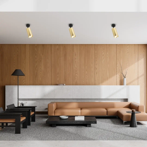 Loftowa oprawa sufitowa MICA SPOT ML1143 do salonu złota czarna