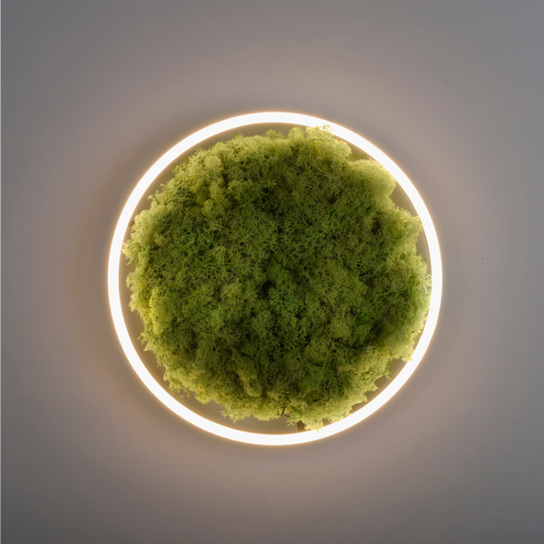 Okrągły plafon GREEN RITU 15391-66 Just Light LED 20W 3000K roślina zielony