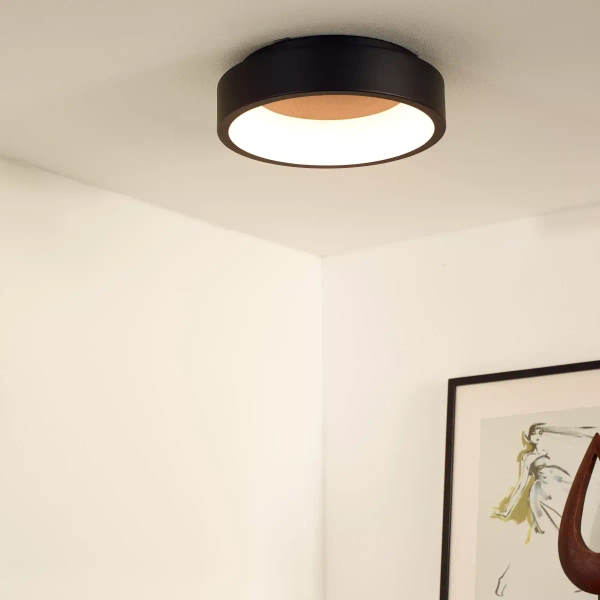 Sufitowa lampa do salonu Talowe 46100/20/30 LED 20W 3000K okrągły czarny