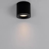 Tubka lampa przysufitowa Luna CL0103-BK Yaskr do przedpokoju IP65 czarna
