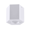 Downlight LAMPA sufitowa HEXAGON 313171 Polux metalowa OPRAWA sześciokątna regulowana biała