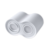 Downlight LAMPA sufitowa HADAR R2 313157 Polux regulowana OPRAWA metalowy spot tuby białe