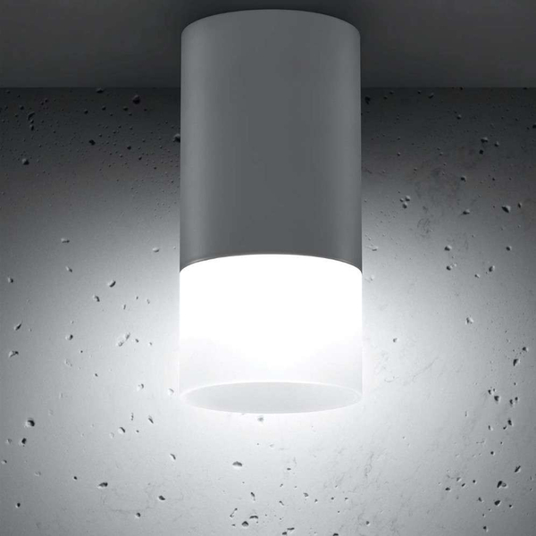 Sufitowa lampa spot 2273686 okrągła tuba downlight industrialny biały