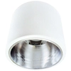 Sufitowa LAMPA natynkowa JUPITER 23 307217 Polux stropowa OPRAWA sufitowa DOWNLIGHT tuba metalowa biała