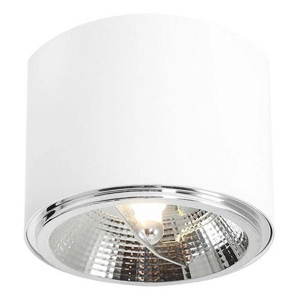 Spot metalowy BOT 1046PL_G Aldex okrągły plafon do kuchni biały