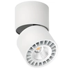 Regulowany downlight pokojowy Herios tuba z regulacją biała