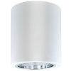 Stropowa lampa JUPITER 10 307170 Polux natynkowa metalowa tuba biała