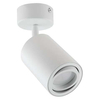 Spot LAMPA sufitowa BEMOL 03538 Ideus metalowa OPRAWA reflektorek tuba biała