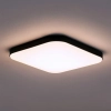 Sufitowy plafon do przedpokoju Nemo ML1836 LED 36W 4000K czarny