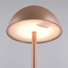Stołowa lampka dotykowa RICARDO R54106165 LED 1,7W 3000K IP54 kawowy