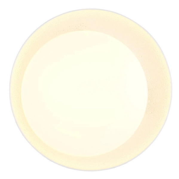 Ledowa lampa sufitowa Aleta R64611101 24W 2700-6500K salonowa biały