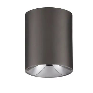 Downlight do jadalni LUMERCA LE45514 LED 10W 3000K metalowy srebrny