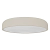 Ledowy minimalistyczny plafon Cedrone OR85969 LED 25W 3000-6500K szary