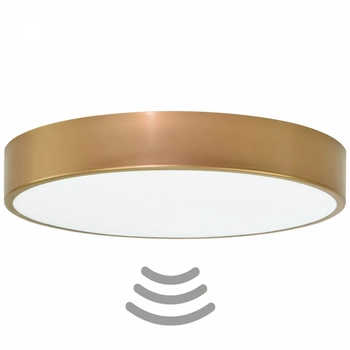 Złota lampa sufitowa 137623622013 do przedpokoju czujnik
